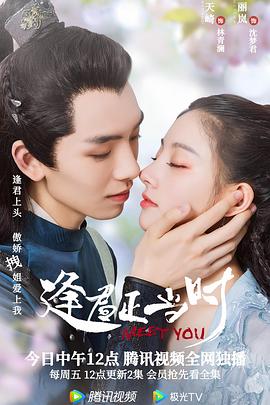 蜂鸟特攻 封面图